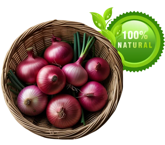 Fresh red onions