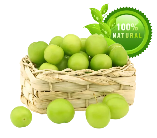 Fresh jujube bair fruit