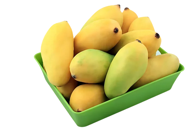 Fresh mangoes