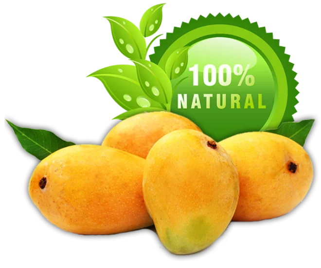 Fresh export mangoes